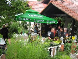 2011 &raquo; Tigrica Danica - Rojstni Dan